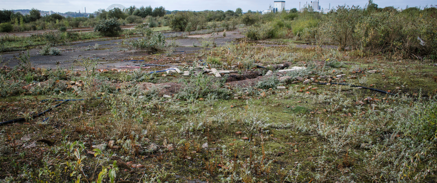 brownfield site